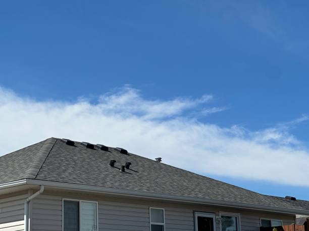 Best Rubber Roofing (EPDM, TPO)  in Aiken, SC